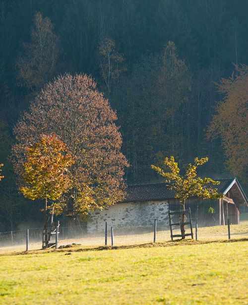 Herbst Landschaft Maishofen