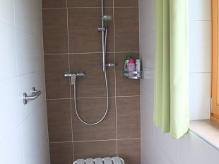 Dusche Haltegriff fix