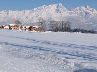 Haus F Wi g Pfeil fern