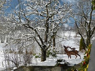 HausWildschuetz_Winter_3 (002)