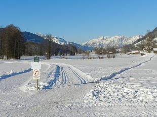 Langlaufeinstieg_2_HausWildschuetz (002)