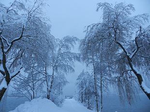 Wanderung_3_HausWildschuetz (002)