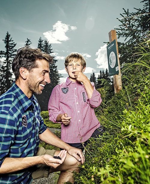 Beeren pflücken auf der Schmitten