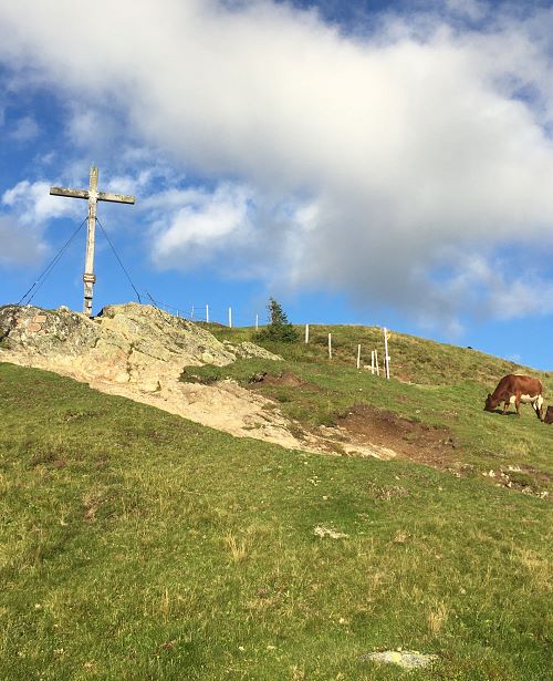 Berg-Kreuz-Alm-mit-Kühen-Maishofen