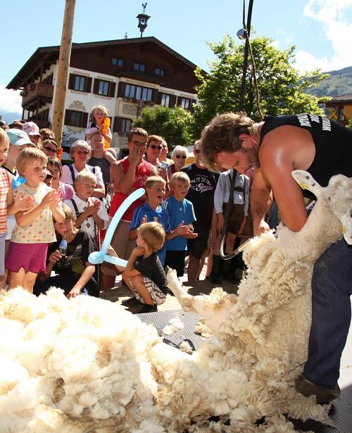 dorffest-schafscheren