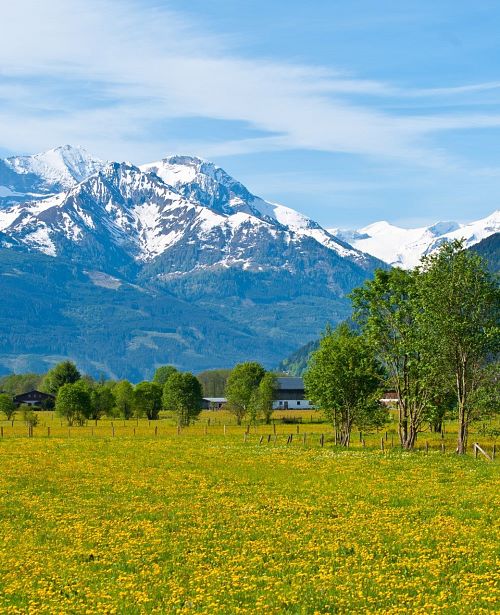Frühling Maishofen Berge