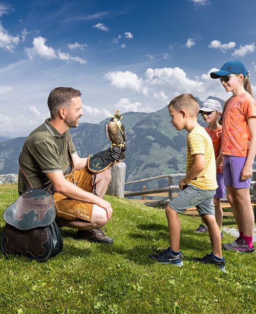 Greifvogelwarte (c) Alpindis_Daniel Breuer