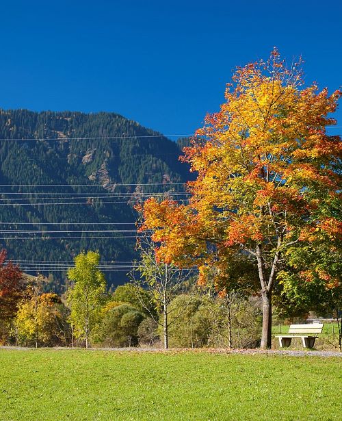 Herbst Landschaft Maishofen