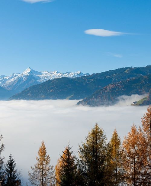Herbst Nebel Maishofen