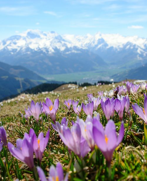 Maishofen - Frühling-Herbst