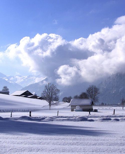 Winter Impressionen