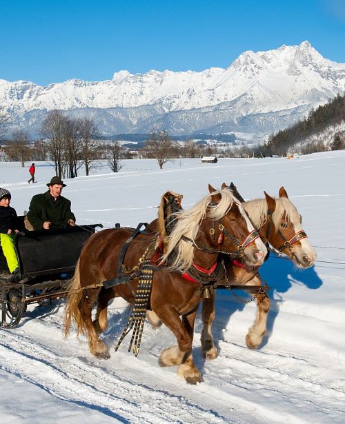 Winter Pferdekutsche