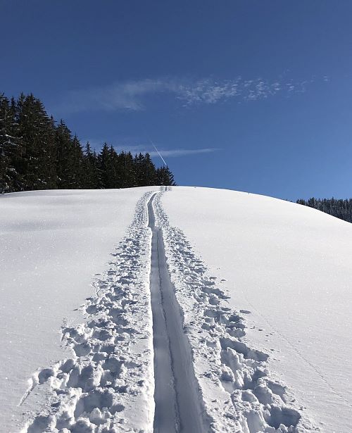 Winter-TVB-Maishofen-Schnee-Landschaft