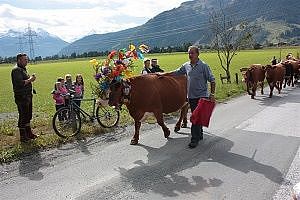 Almabtrieb 2012