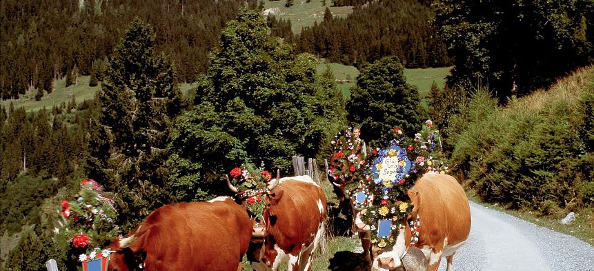 Almabtrieb homecoming festival