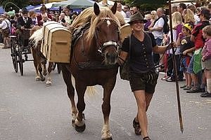 Dorffest Maishofen 2009