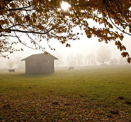 Schlechtwetterprogramm