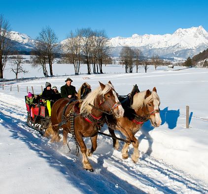 Kutschenfahrt & Reiten