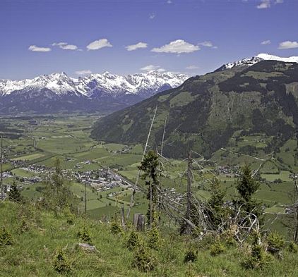 Vorstand- und Ausschuss Tourismusverband Maishofen