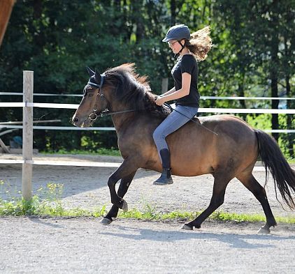 Horse riding Millinghof