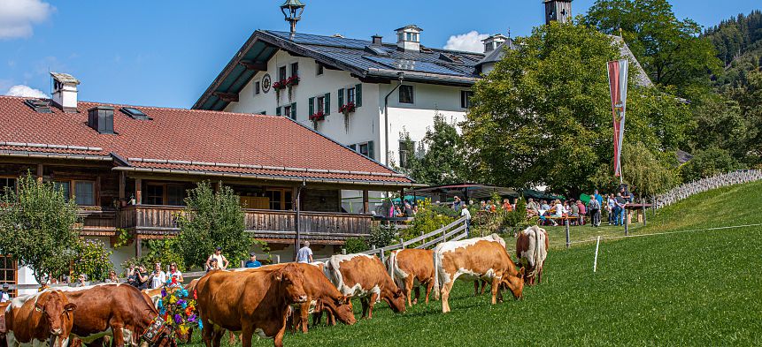 Almabtrieb und Hoffest des Kammererbauern