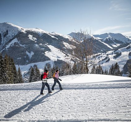 Winter hiking paths